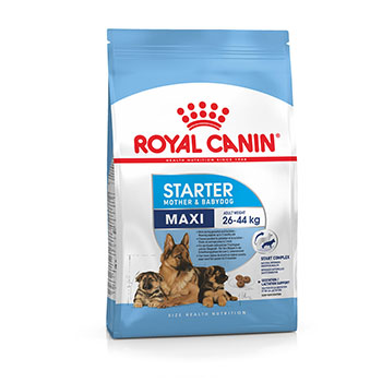ROYAL CANIN DOG PUPPY MAXI STARTER MOTHER & BABY 4Kg