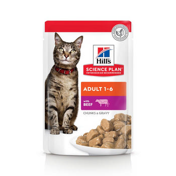 SCIENCE PLAN HILL'S CAT ADULT MANZO BUSTA 85g